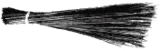 AAP symbol