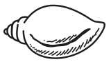 BJD symbol