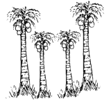JSS symbol